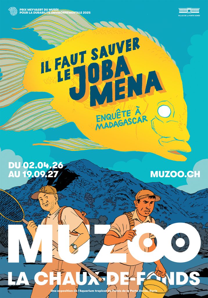 Il faut sauver le Joba Mena - Enquête à Madagascar