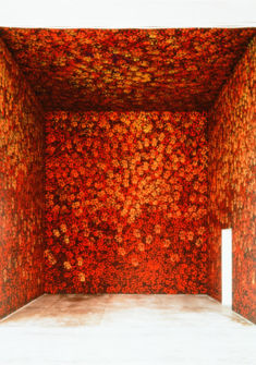 Claudio Parmiggiani, Cripta, 1994, coll. MAMCO, don de l'artiste