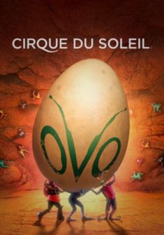 Ovo - Cirque du Soleil