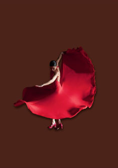 voces ballet flamenco genève