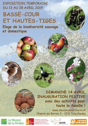 Affiche de l'exposition "Basse-cour et hautes-tiges"