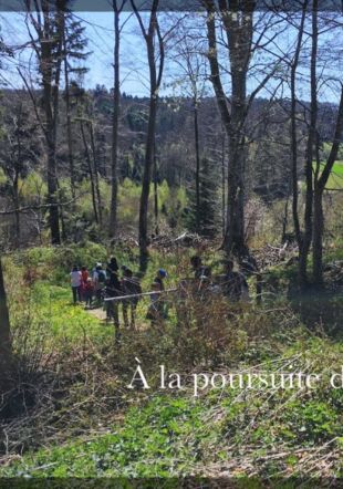 Contes dans la forêt autour de l'Abbaye