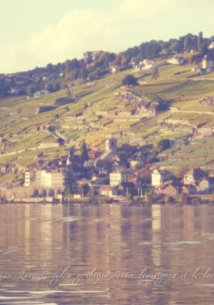 St-Saphorin en Lavaux