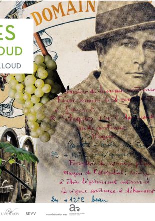 Musée du Vin, Sierre-Salgesch Musée du Vin, Sierre-Salgesch