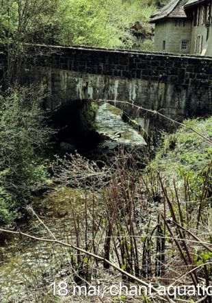 La rivière et le pont