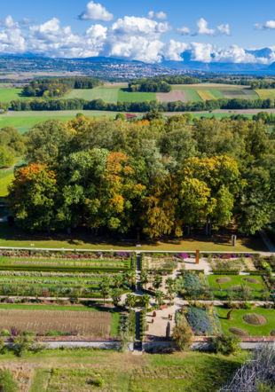 Château de Vullierens