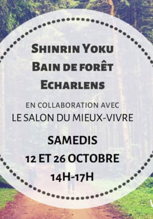 Shinrin Yoku - bain de forêt