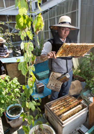 Japon, la fabrique de la nature