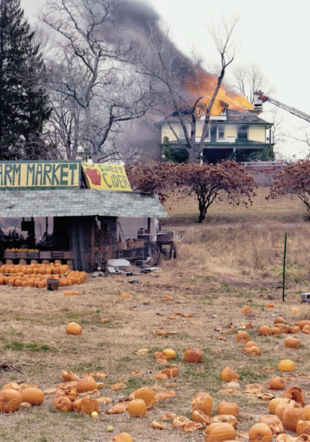 Joel Sternfeld, The Present Environmental Predicament, tiré de la série American Prospects, 1987