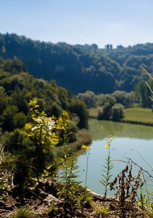 Lac de Pérolles