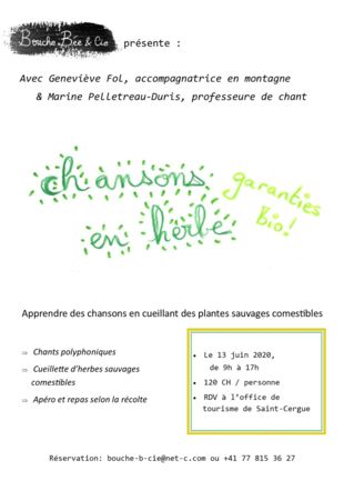 Flyer Chansons en herbe