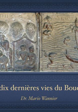 Carreaux céramiques sans glaçure représentant des vies antérieures du Bouddha, stupa Hpet Laik -Est-, Bagan (début 11ème siècle)