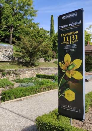 Jardin botanique de Lausanne