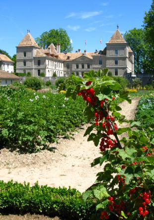 Le plus grand jardin potager de Suisse