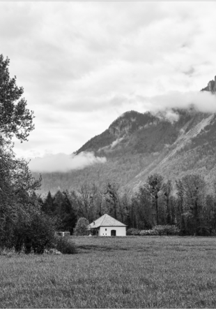 La Maison dans la clairière