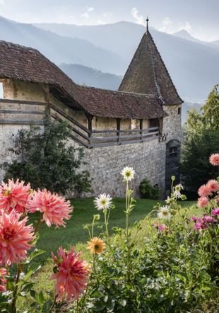 Château De Gruyeres_Jardin_