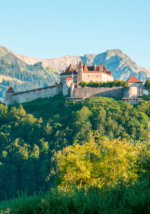 Château De Gruyeres_Vue Ext_ETE