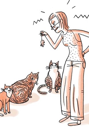Becquelin illustration