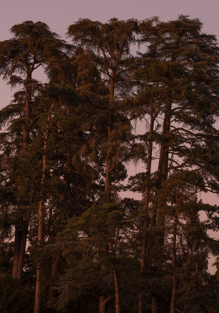 Crépuscule Yasmina Gonin Crépuscule Yasmina Gonin