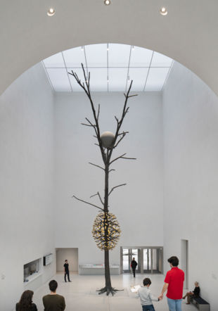Hall_MCBA_2021