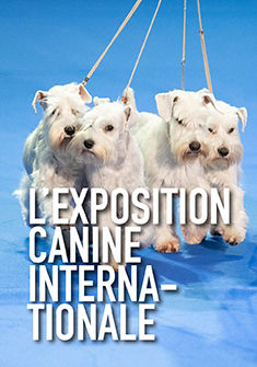 L'exposition canine internationale