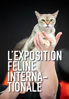 L'exposition féline internationale