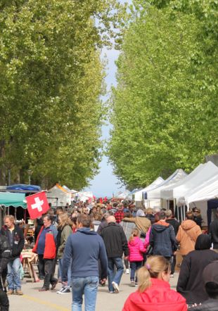 Brocante d'Yverdon