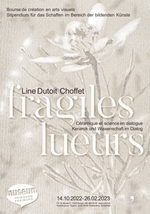 Fragiles lueurs - affiche