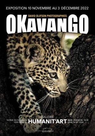 Okavango de David Olifson