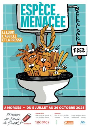 Affiche mddp