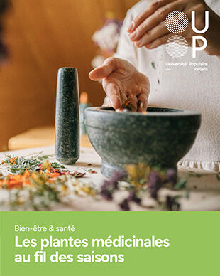 Les plantes médicinales du printemps ©up-riviera