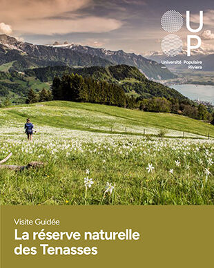 La réserve naturelle des Tenasses ©up-riviera