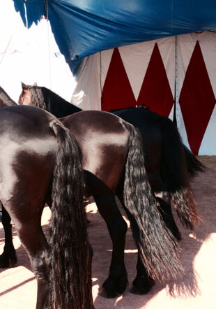 Théâtre - La couleur des choses