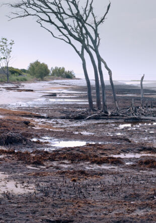 Dans le décor de La couleur des choses