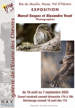  Copyright : Association des Amis de Mase