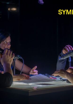 © Corentin Laplanche-Tsutsui / Gaël Sillere / Louise Mutrel