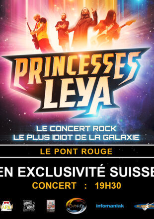 Affiche officielle DaMErS Productions