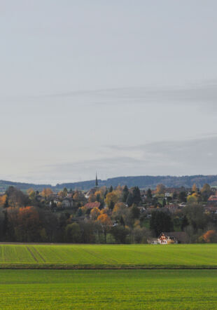 Mézières 