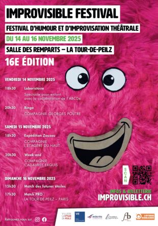 Affiche de la 16ème édition improvisible festival