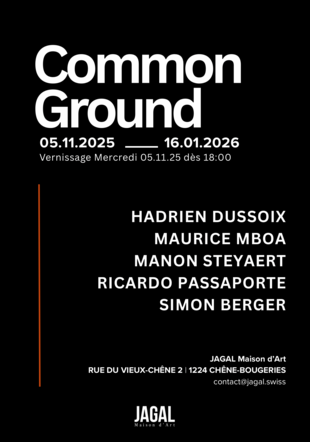 Common Ground - vernissage art contemporain 
