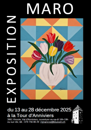 Affiche Maro expo @ACNformation