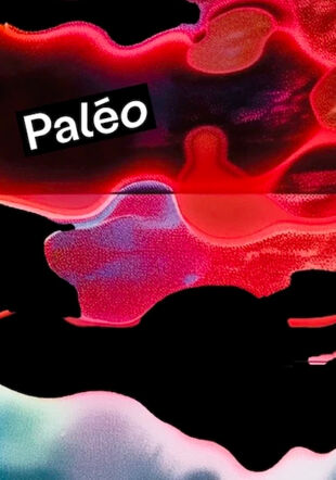 Paléo 2026 dévoile son affiche créée avec l'intelligence artificielle