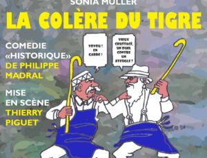 La colère du tigre 50%
