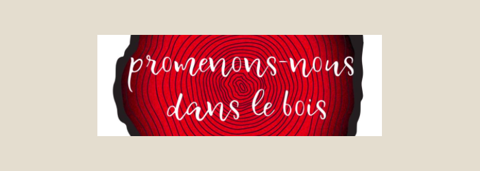 Immergez-vous dans le monde du bois, ce noble matériau innovant ! Didier Zanone Immergez-vous dans le monde du bois, ce noble matériau innovant ! Didier Zanone