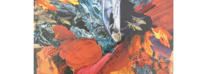 Collage Anne-Marie Kohler Anne-Marie Kohler Collage Anne-Marie Kohler Anne-Marie Kohler