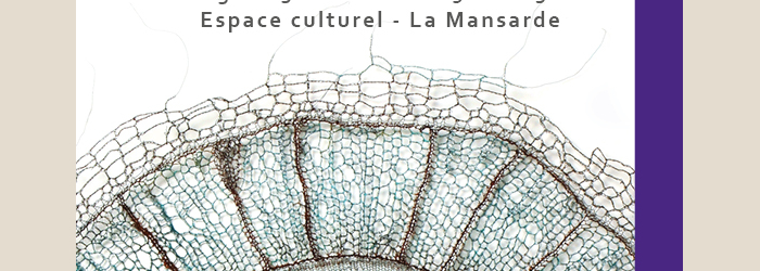 Photo : "Gossypium Hirsutum", fil de cuivre crocheté, oxydé Marta Blanc Photo : "Gossypium Hirsutum", fil de cuivre crocheté, oxydé Marta Blanc
