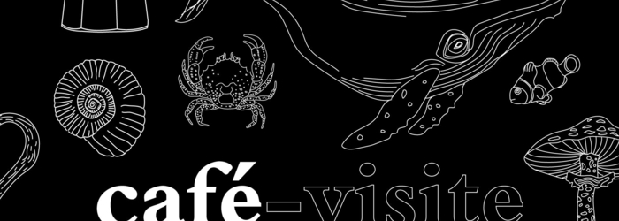 Café-visite flyer MHNF Café-visite flyer MHNF