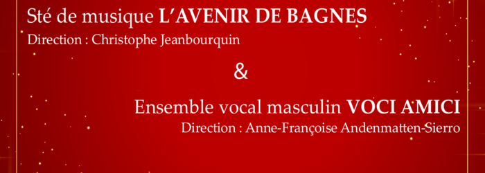 Affiche Avenir de Bagnes