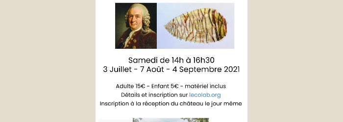 Illustration botanique au Chateau de Voltaire Illustration botanique au Chateau de Voltaire