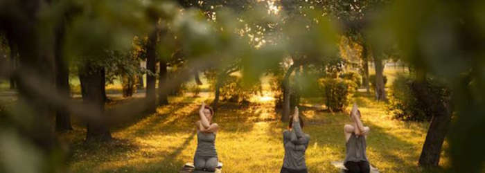 Les matinales au Potager - Yoga Château de Prangins
